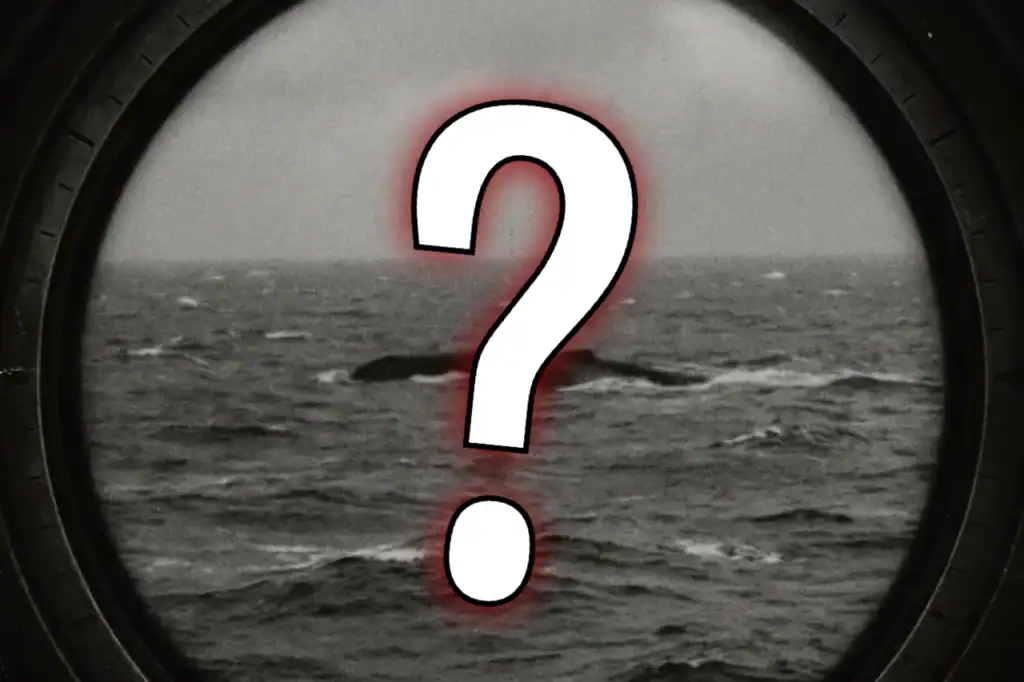 Gray, rippling Loch Ness water under a bold question mark, recalling how Royal Navy anti-submarine nets in 1941 caught an unknown sea serpent.