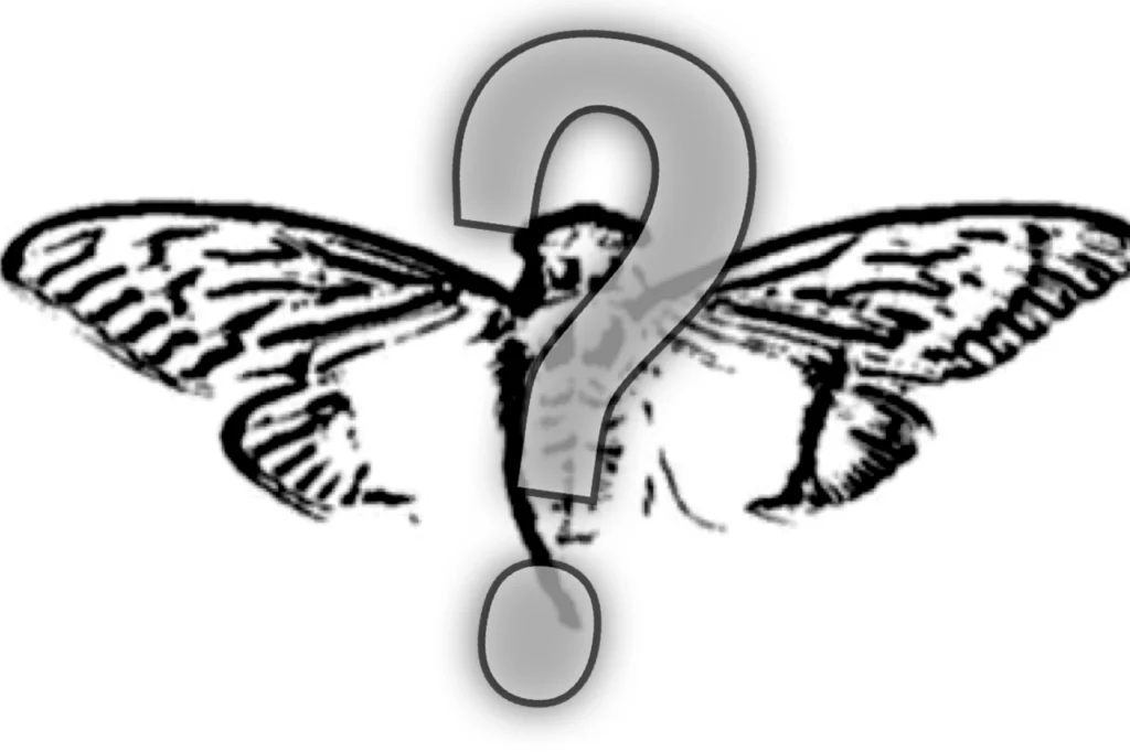 A black-and-white moth-like symbol with a keyhole shape, echoing the Cicada 3301 mystery recruitment puzzle and layered cryptographic clues.
