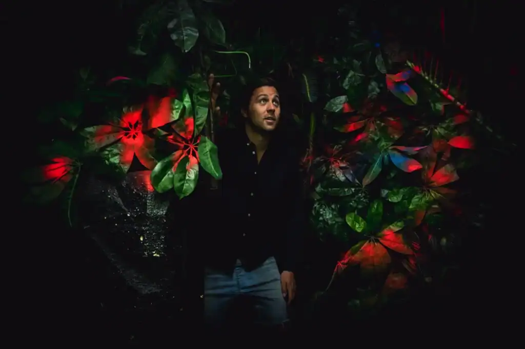 In Auckland at night, a person stands in a dark area lit by red-green glowing lights, surrounded by lush foliage and misty haze.